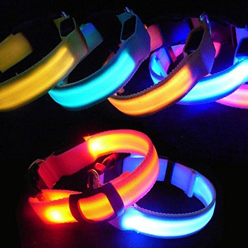 Glow-In-The-Dark Pet Collar