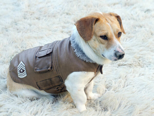 DOG JACKET