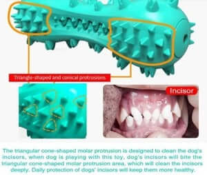 Pet Dog Cleaning Chew Toys