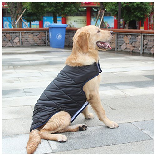 PET JACKET