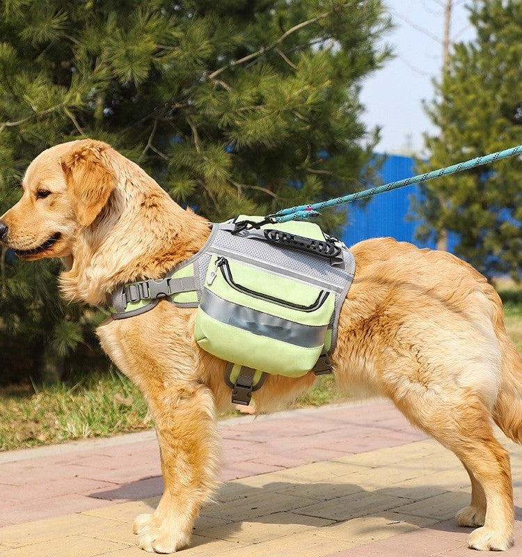 Backpack for pet