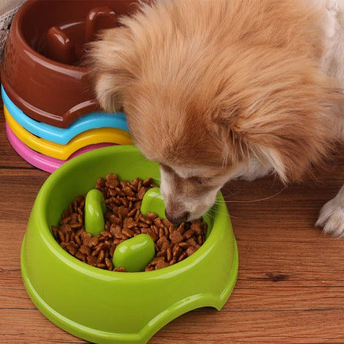 PET FEED