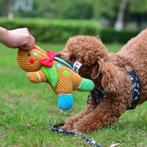 PET TOYS