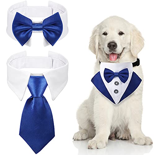 Blue Stripe Pet Collar with Tie
