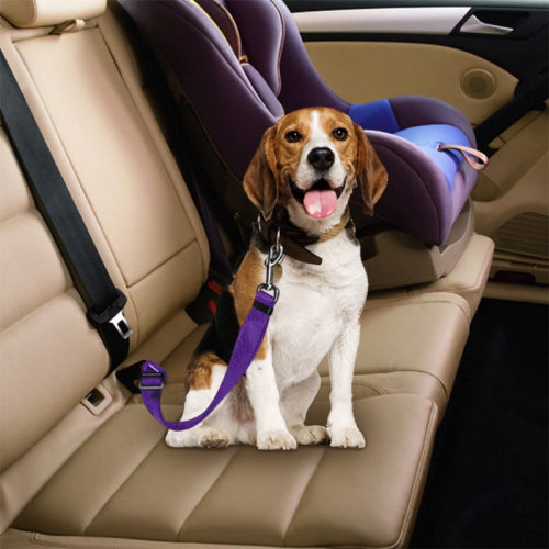Dog safety belt for car