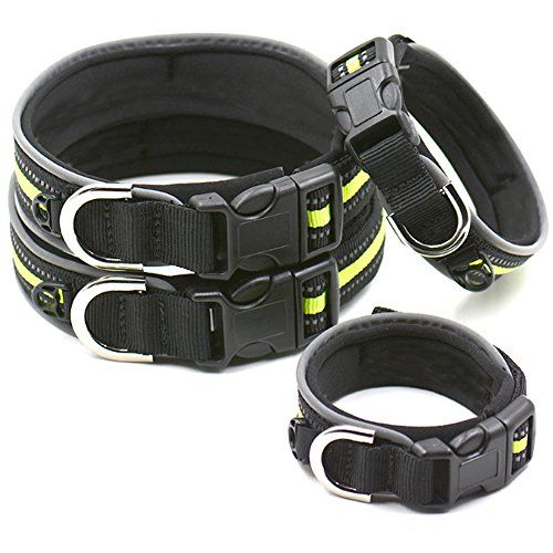 EcoPaw Reflective Collar