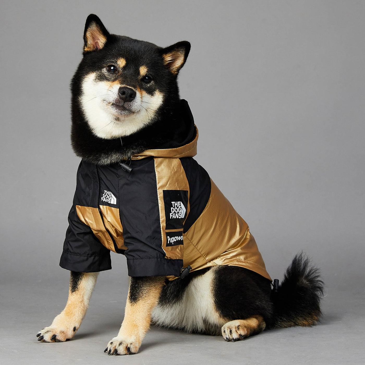 PET JACKET
