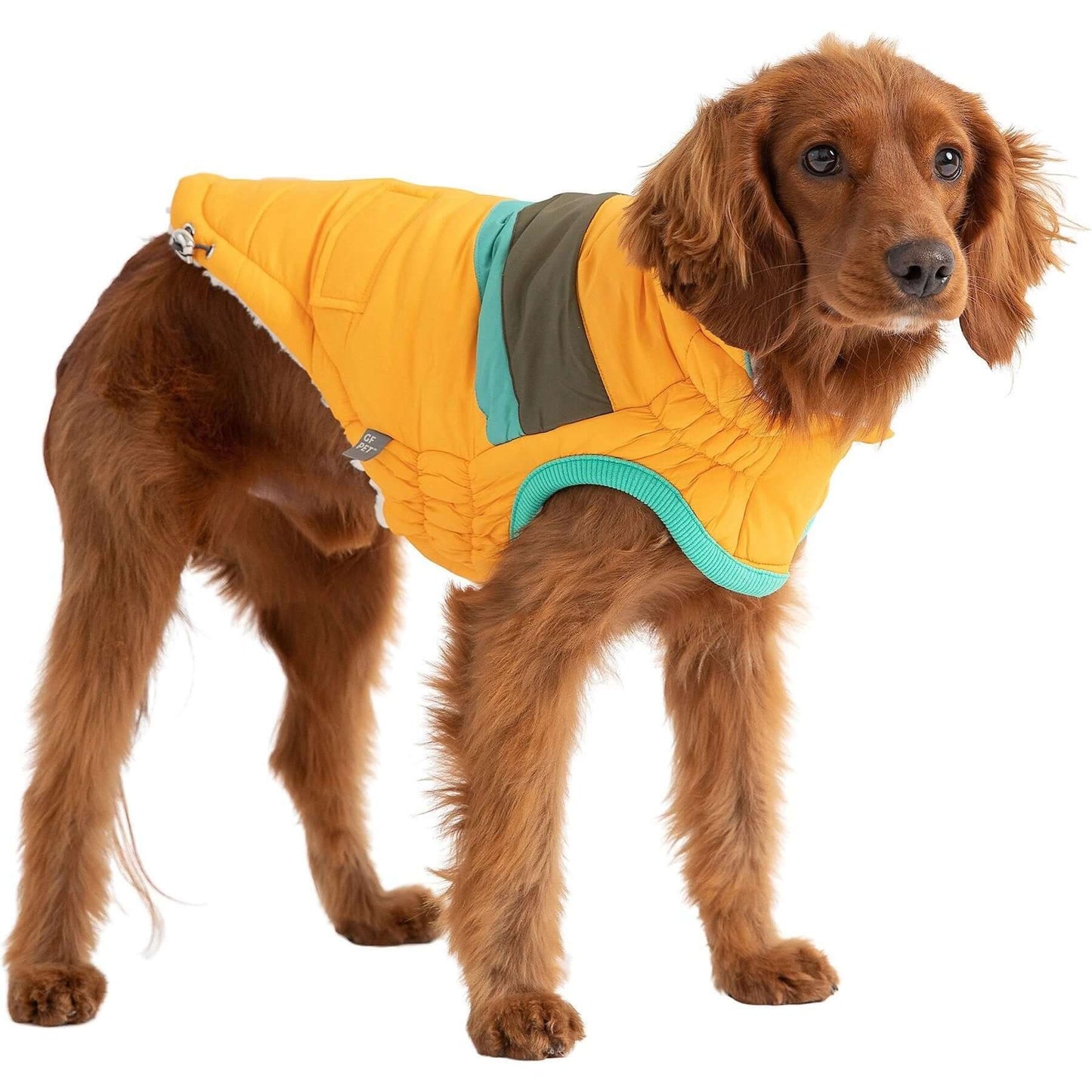 Yellow dog jacket, Alpine Puffer Dog Coat, Yellow, Medium