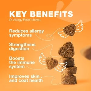 Dog Allergy Relief Chews