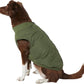 Green dog jacket