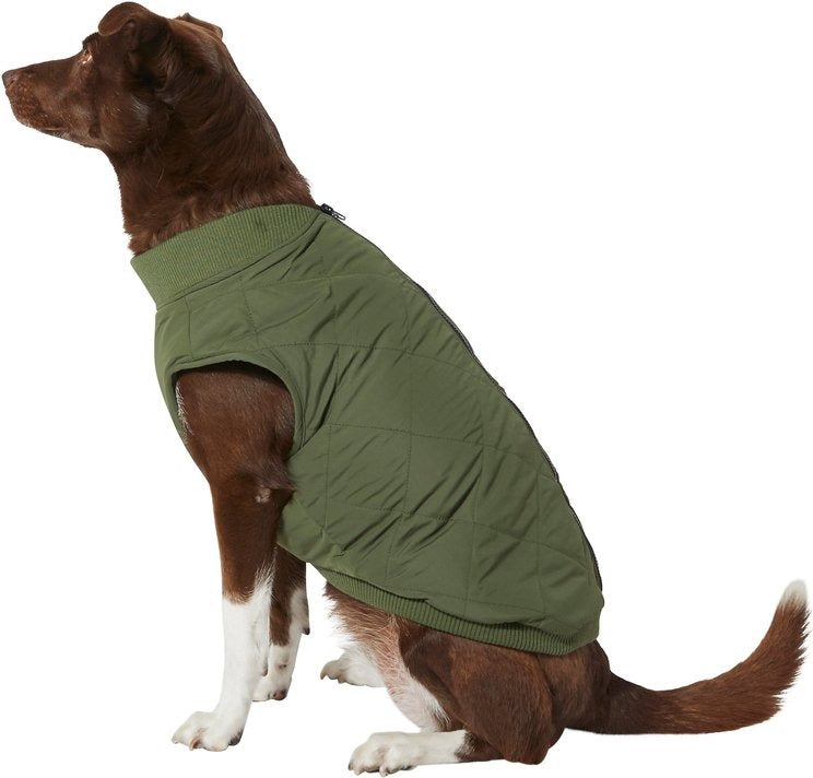Green dog jacket
